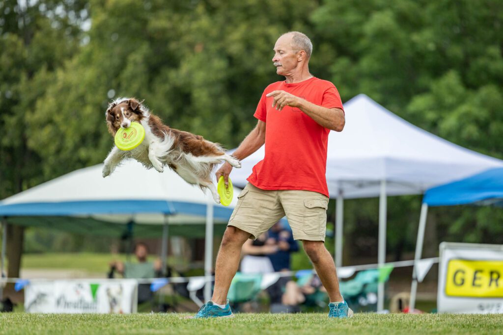 Dog Disc