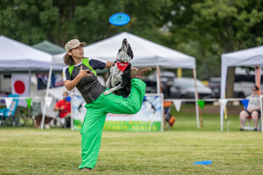 Dog Disc