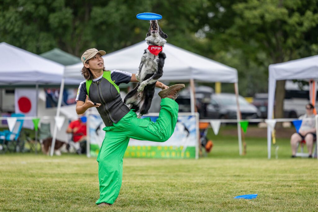Dog Disc