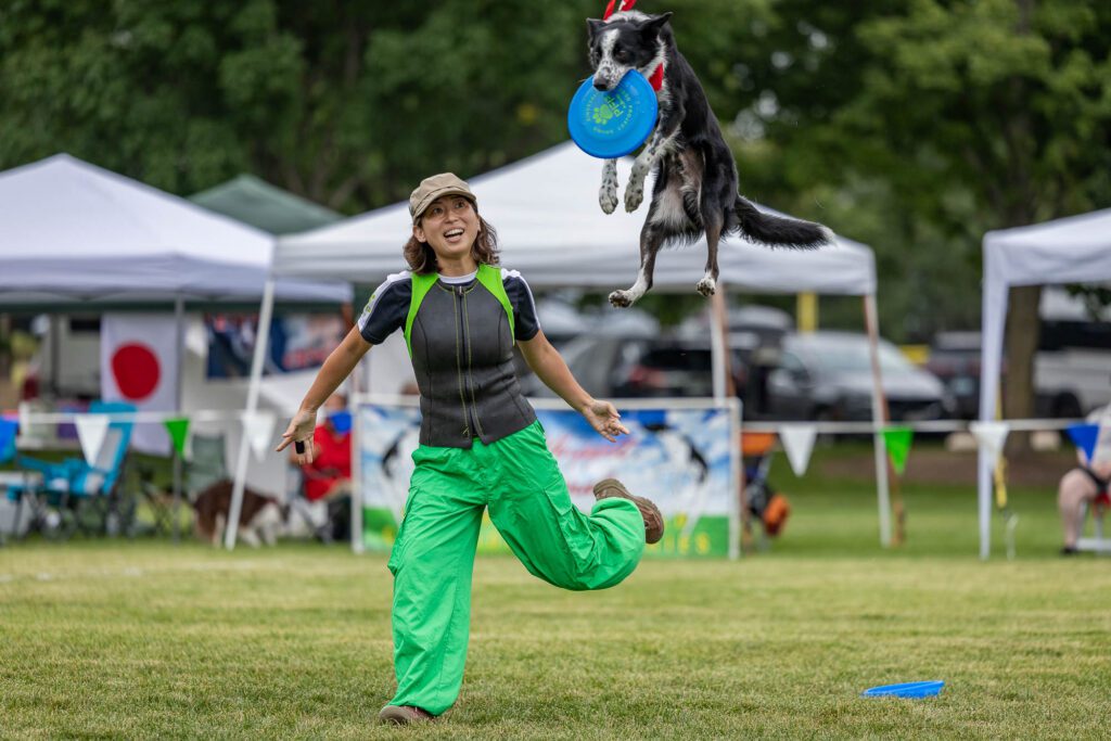Dog Disc