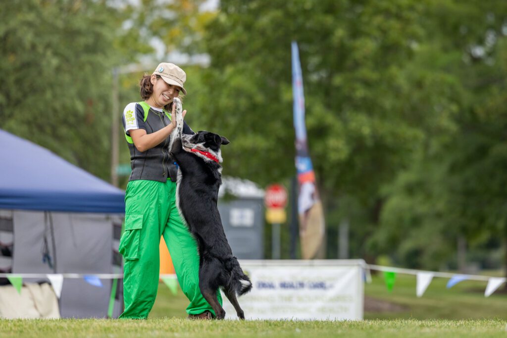 Dog Disc