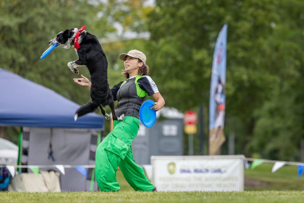 Dog Disc